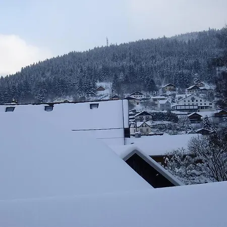 Apartmán Le Loft De - Cozy Et Spacieux *