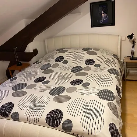 Le Loft De - Cozy Et Spacieux Gérardmer